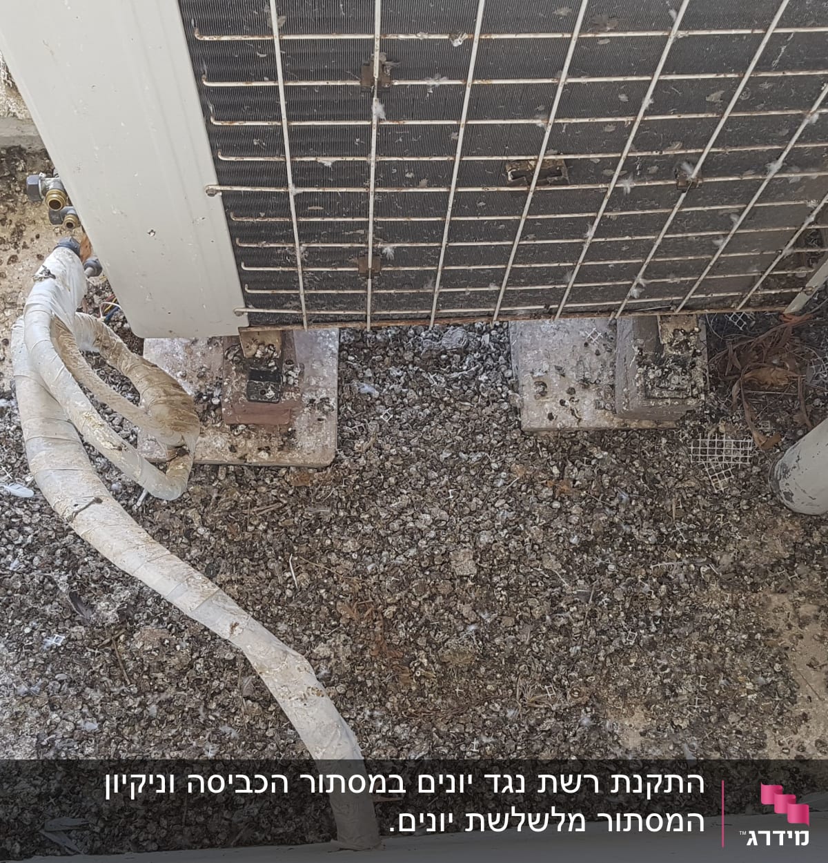 לפני ניקיון